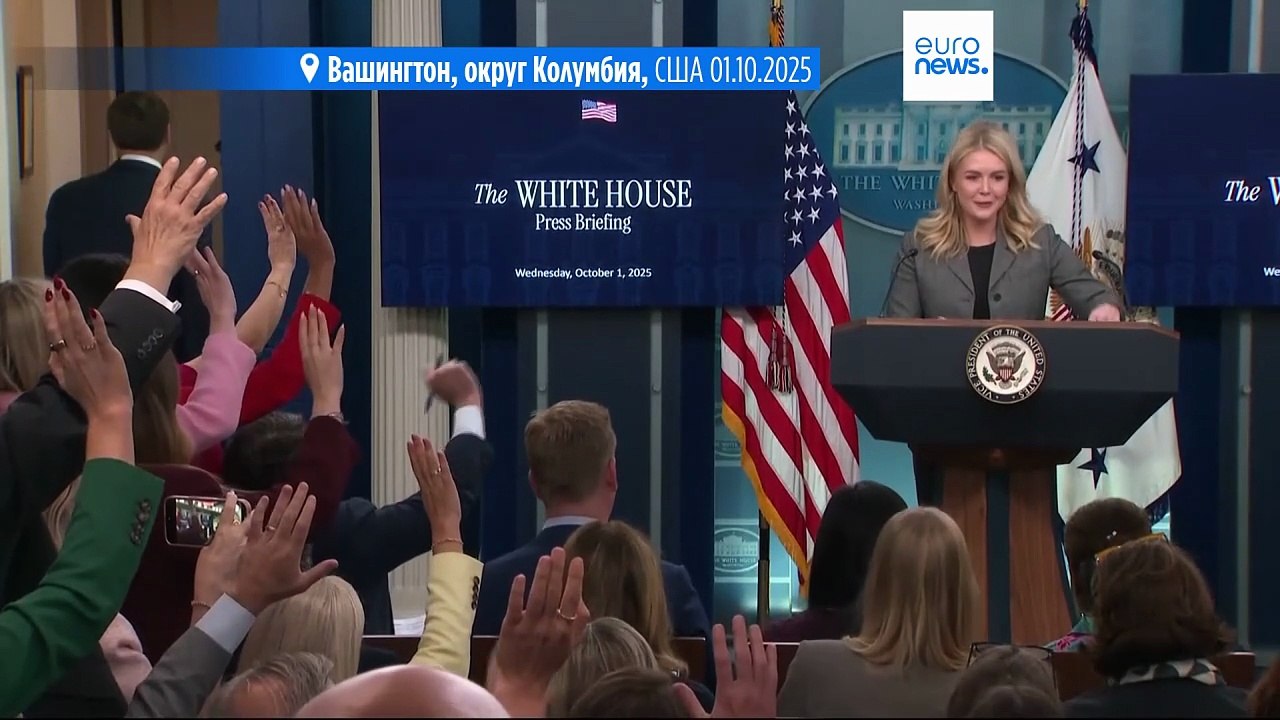 Папа римский Лев XIV указал на противоречия в дебатах против абортов и иммиграции в США