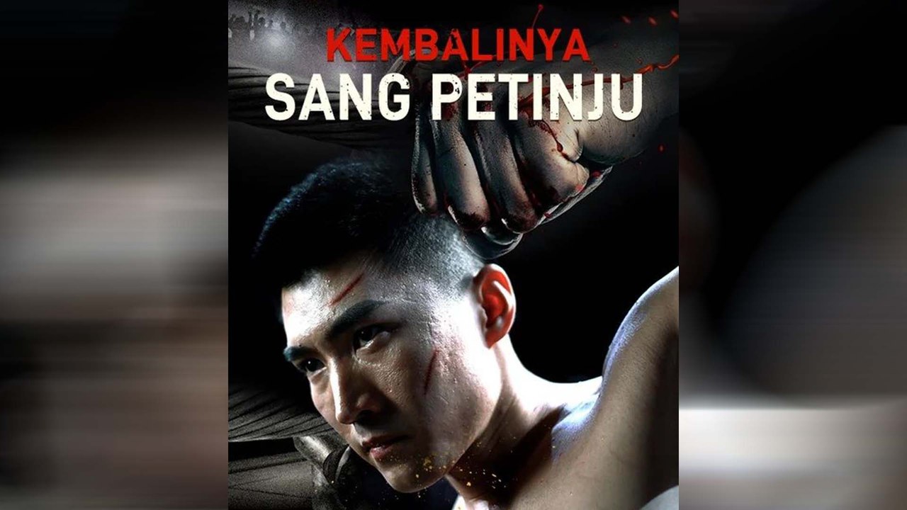 Kembalinya Sang Petinju