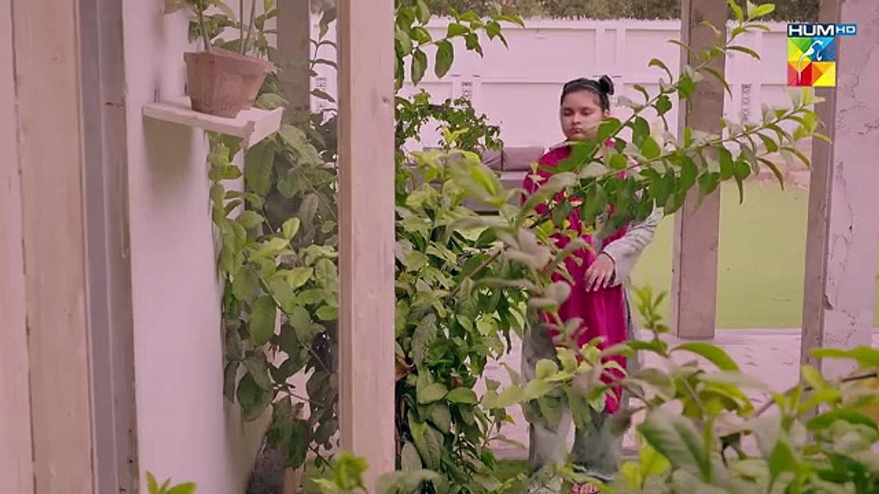 Jamma Taqseem drama episode 8