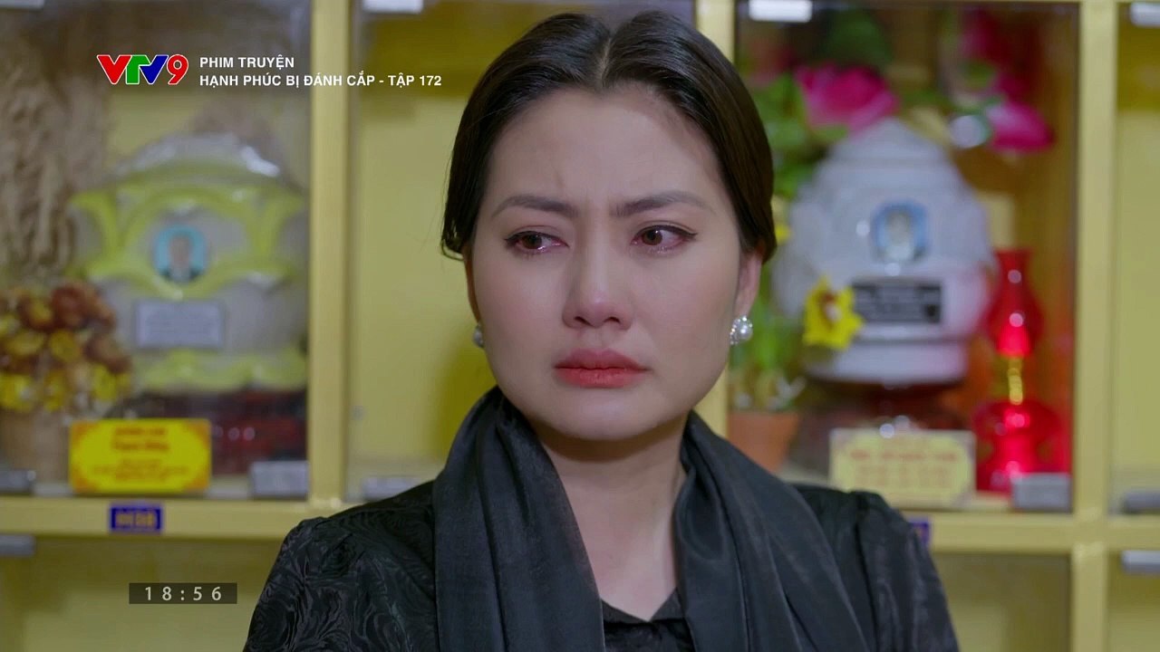 Hạnh phúc bị đánh cắp - Tập 172