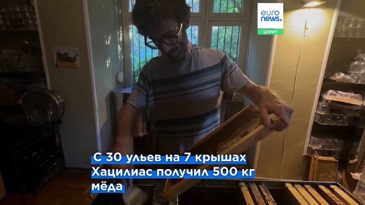 Ульи на афинских крышах: городское пчеловодство набирает обороты