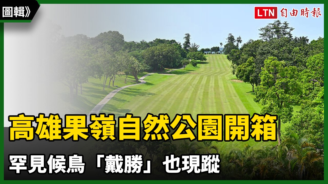 圖輯》高雄果嶺自然公園1洞至18洞開箱 罕見候鳥「戴勝」也現蹤