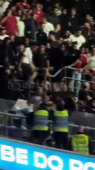 Confrontos adeptos do Benfica