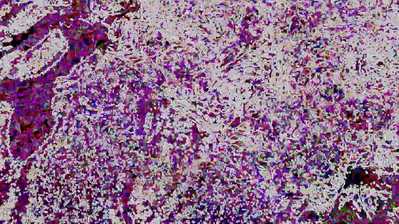 DreamPoppies - October 7, 2025   #Skrillex #Rezz #EDM #Dubstep #BassMusic #ElectronicMusic #SkrillexLive #RezzLive #FestivalVibes #RaveCulture #DJLife #MusicVideo #EDMFamily #DarkEDM #BassHouse #HypnoticBeats #Music #NewMusic #MusicVideo #LiveMusic #Music