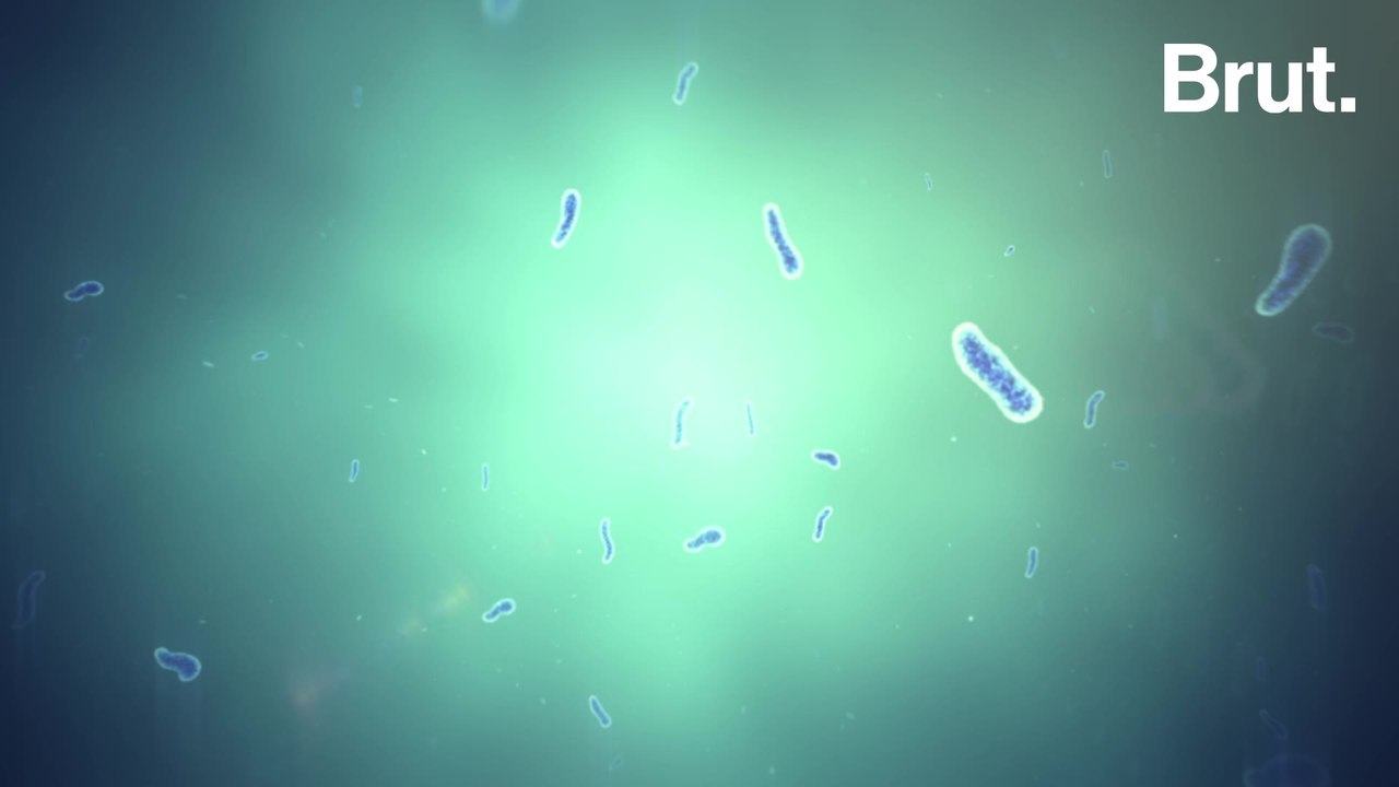 Manipulations génétiques, virus créés par l’IA, bactéries miroirs : quelles limites à la recherche scientifique ?