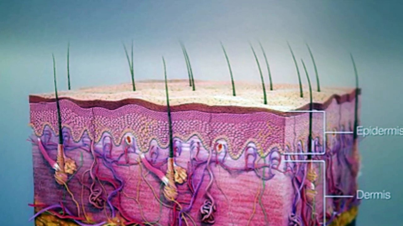 Impetigo: Cream or Pill? What Really Works Best