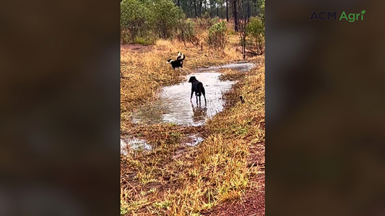 Radke family records soaking 80mm of rain