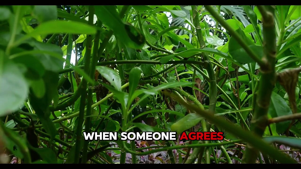 Here’s the Harsh Truth No One Wants to Hear