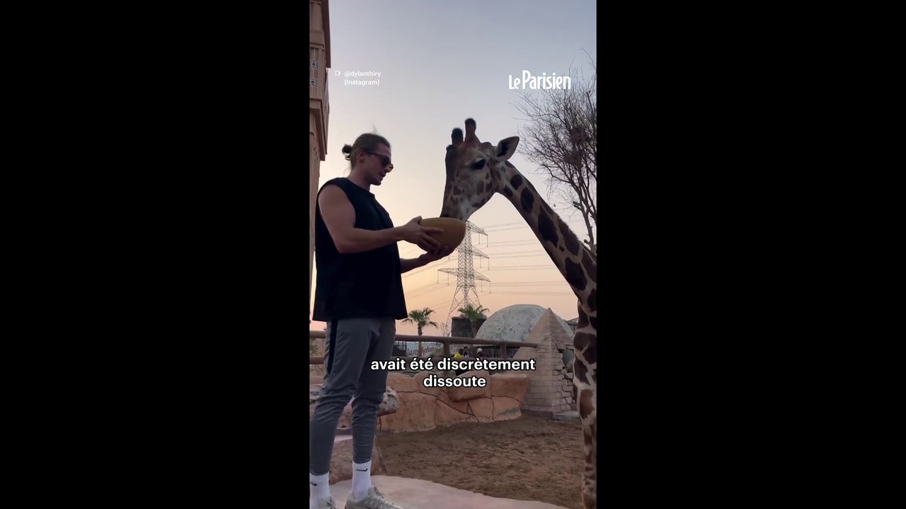 L'influenceur Dylan Thiry jugé à Paris