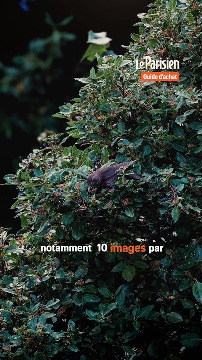 Crash Test : Appareil photo Sony Alpha 7 III