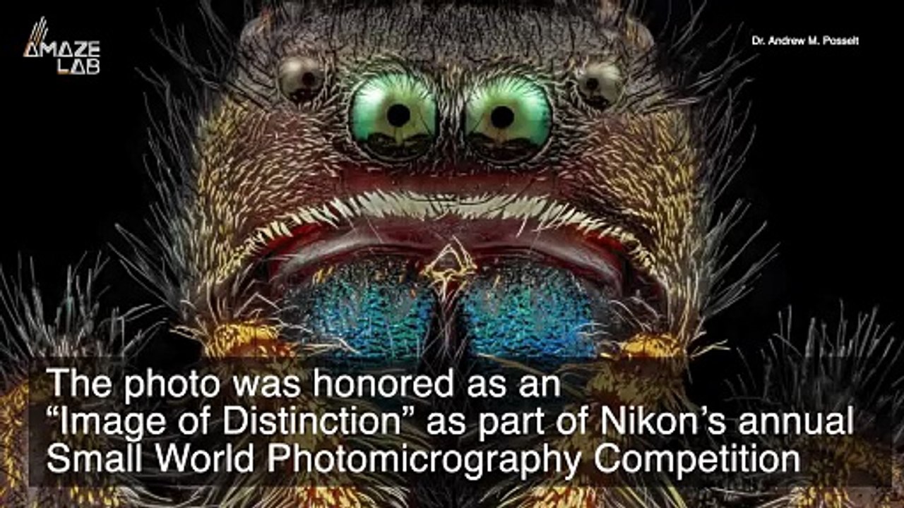 Don’t Look at This Photo At Night! Close up of an Ant’s Face Will Give You Halloween Level Nightmares