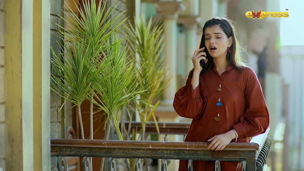 Mohalla Episode 16   Shahzad Sheikh, Maha Hasan   New Pakistani Drama 2025   Express TV