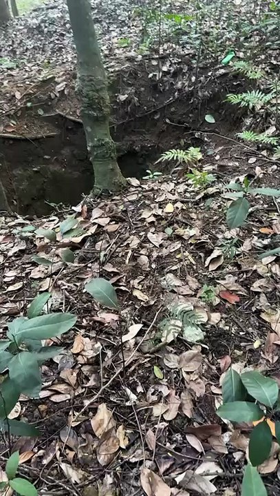 Polícia encontra ossadas em cemitério clandestino usado por facção criminosa