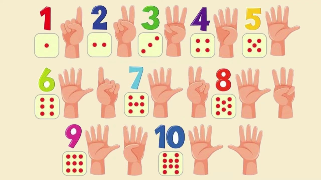 APRENDENDO O ÁBACO - NÚMEROS 6°ANO - AULA 04