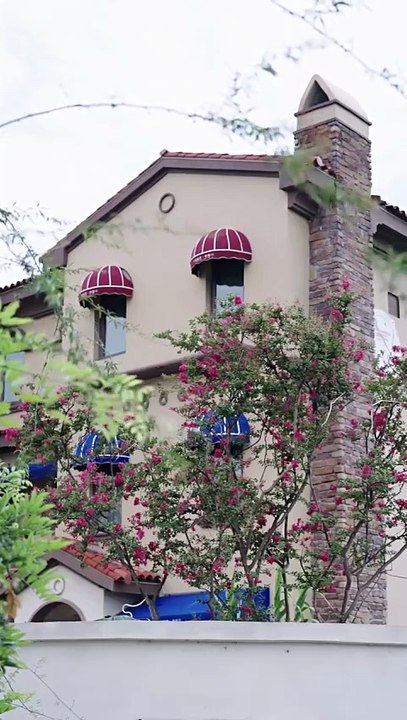 Sincerity Betrayed The Proposal Lie