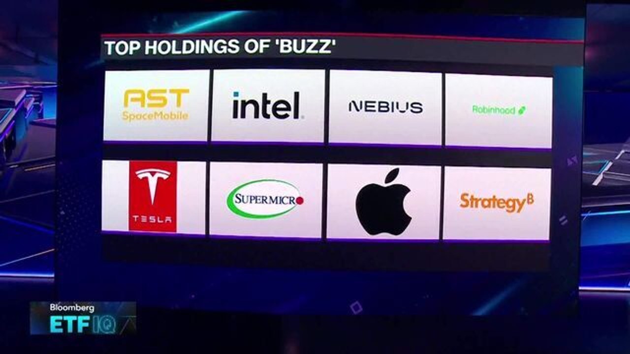 Sentiment ETF 'BUZZ' Takes Off in 2025