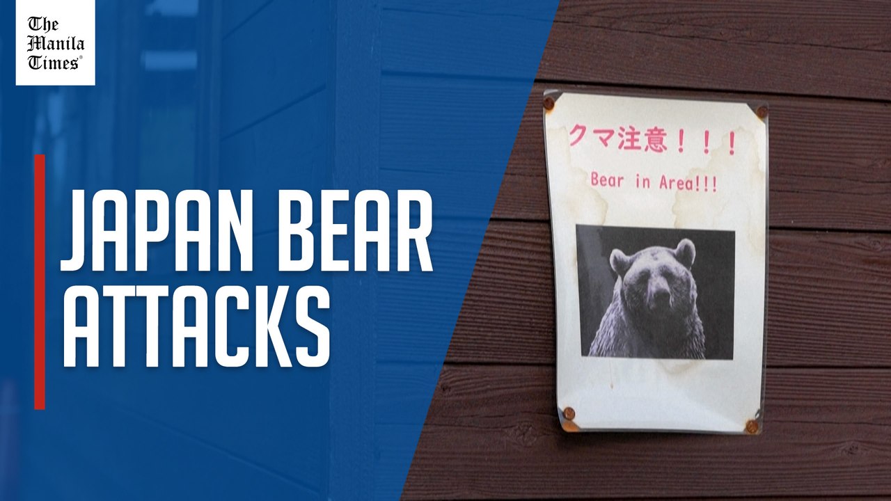 Japan governor asks for military help against 'dire' bear attacks