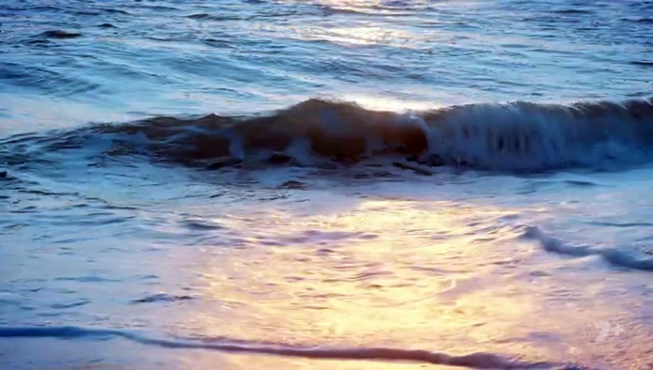 Home and Away 8616 30th October 2025