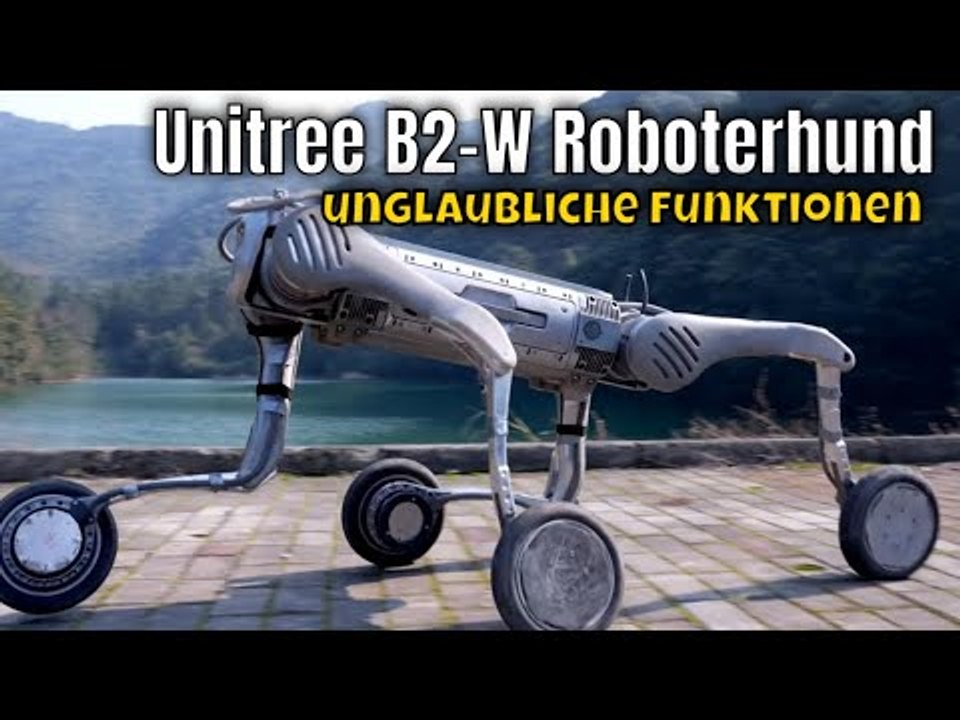 2024 Unitree B2-W: Der Roboterhund, der alles kann!