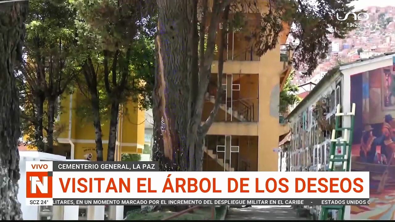 ARBOL DE LOS DESEOS EN LA PAZ