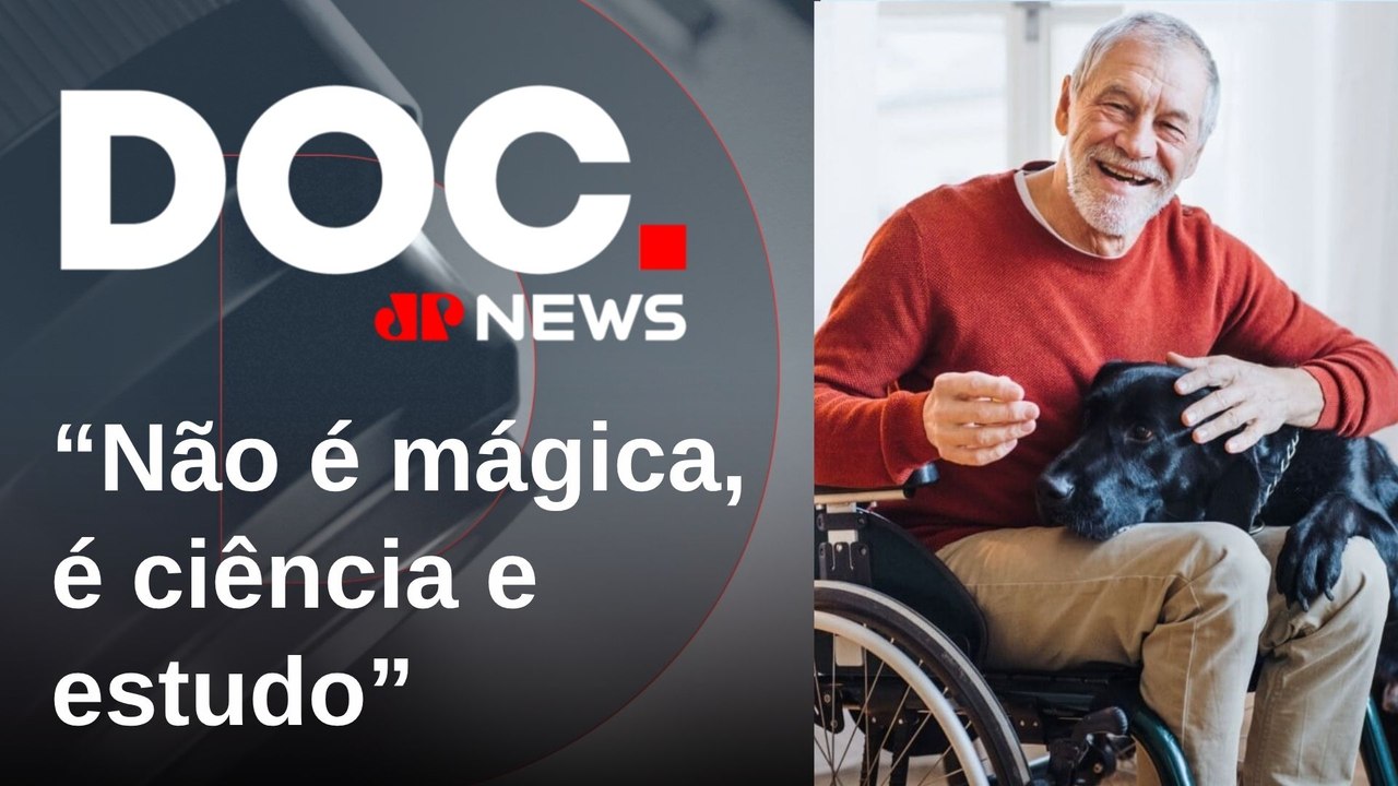 Na prática, como animais ajudam no tratamento de pessoas? Especialistas explicam | DOCUMENTO JP