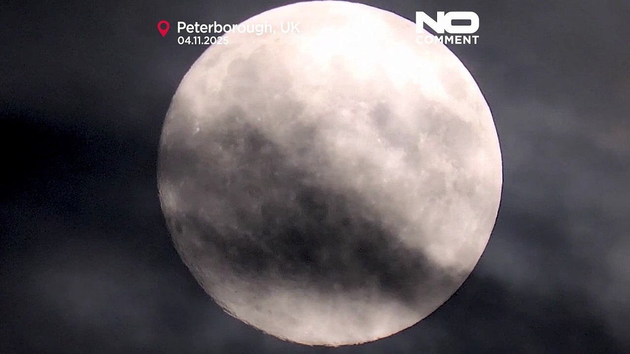 Superlua de novembro será a mais brilhante e a mais próxima do ano