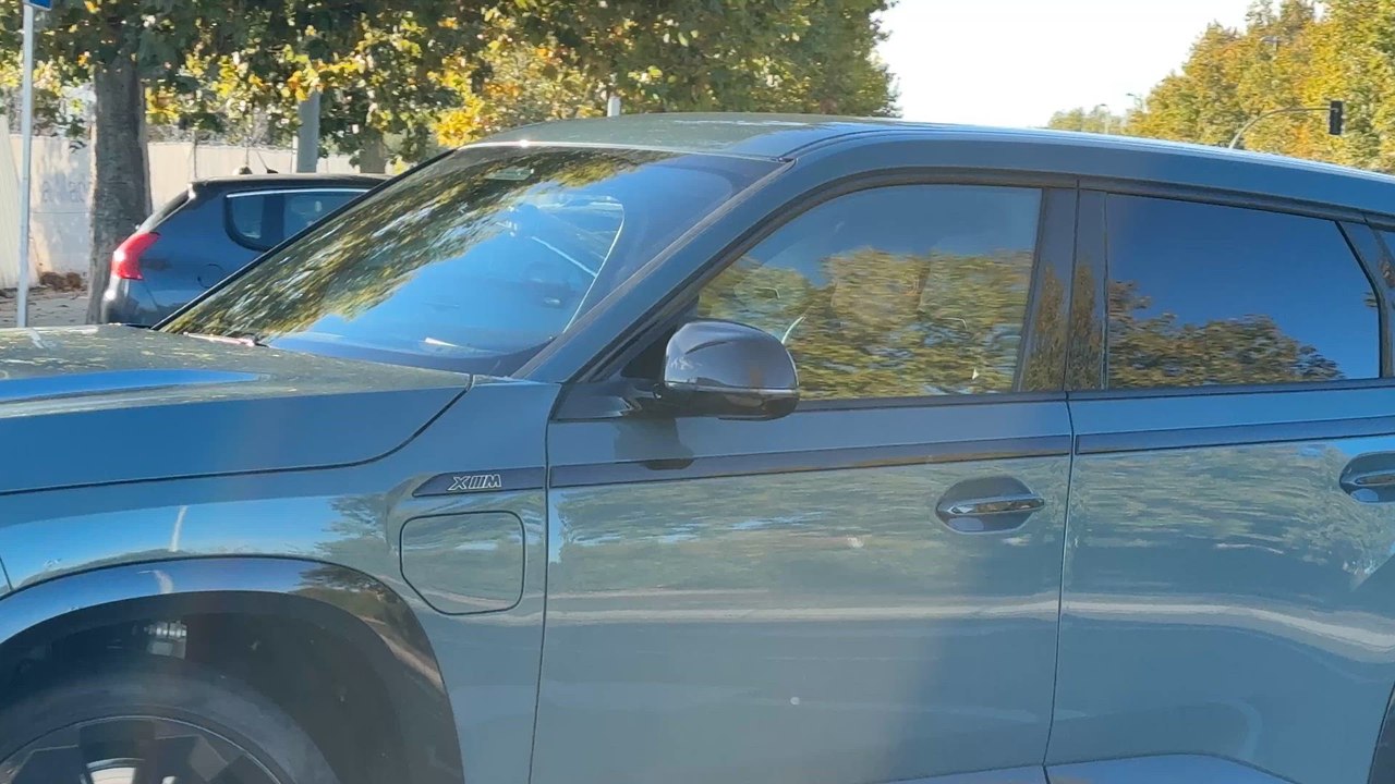 La llegada de Ceballos