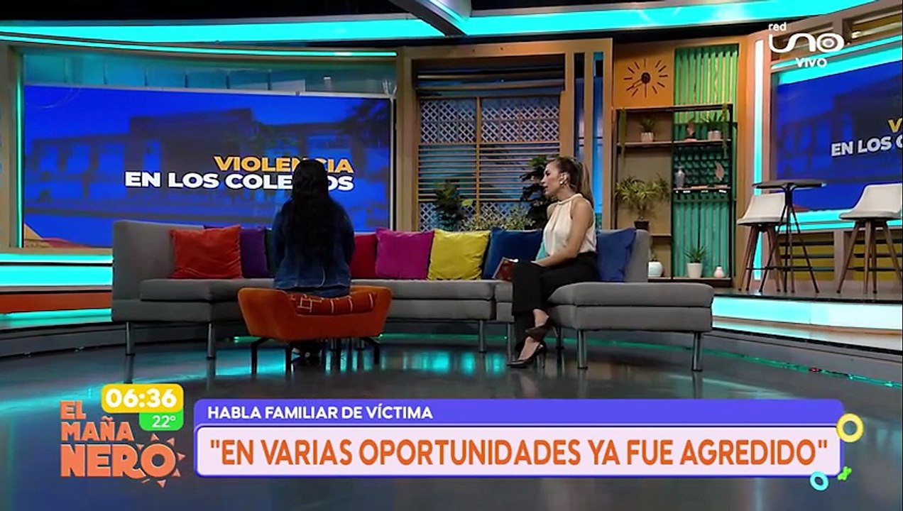 VIOLENCIA EN LOS COLEGIOS