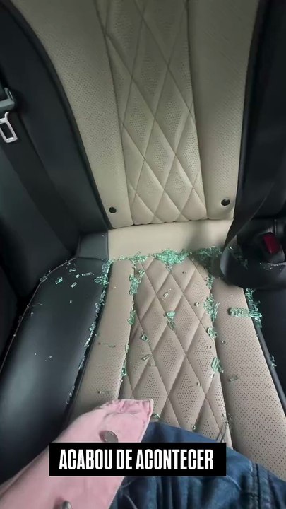 Namorada de Fabio Porchat sofre tentativa de assalto