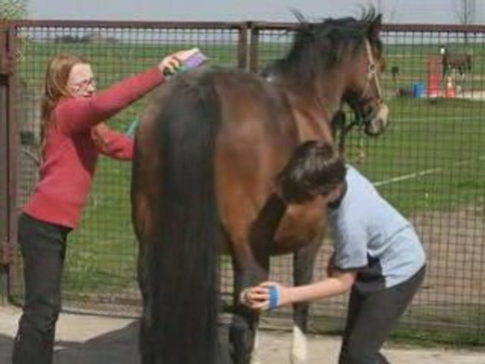 Create Stunning Photo Stories with Photorécit1 📸