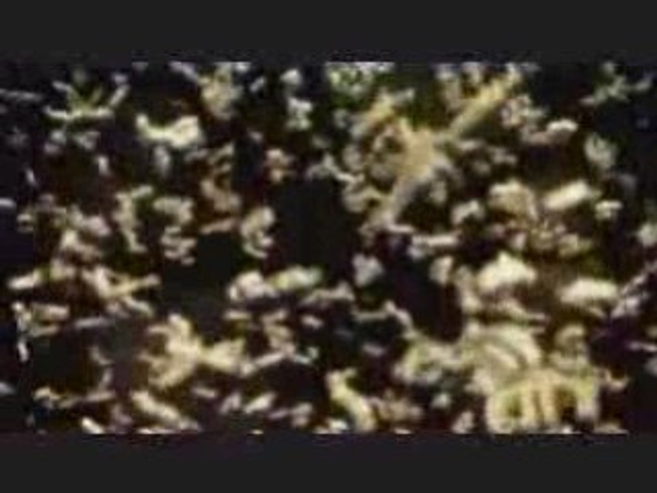 #1 El Secreto Esta en La Ley De Atracción!