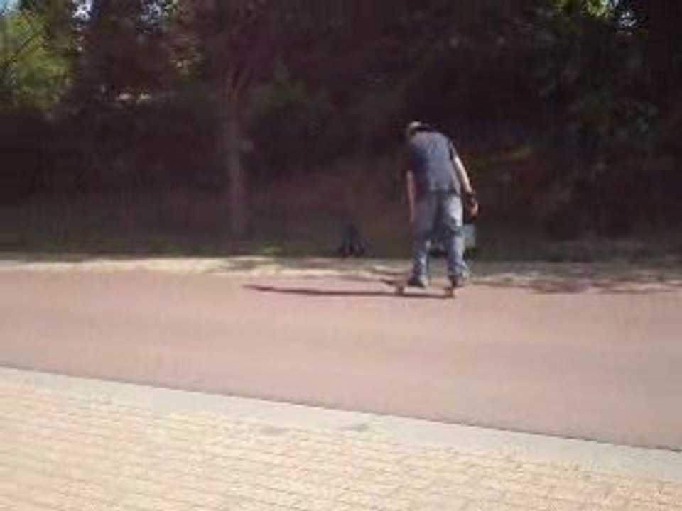 Adri 14: Key Highlights and Insights