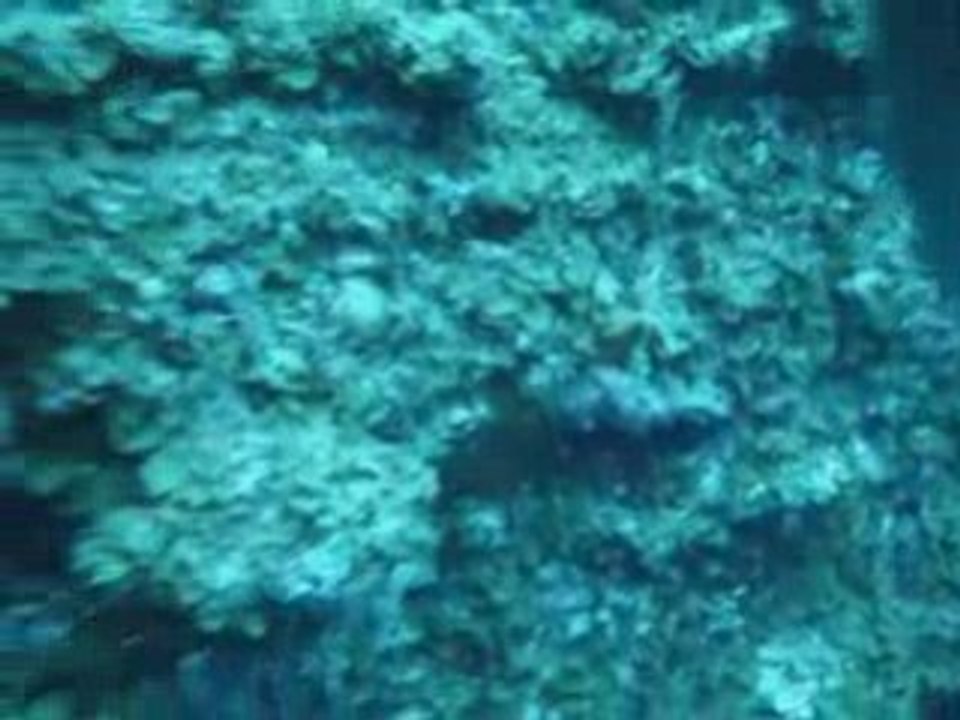 El Bajón 3: Nueva Aventura 🎮