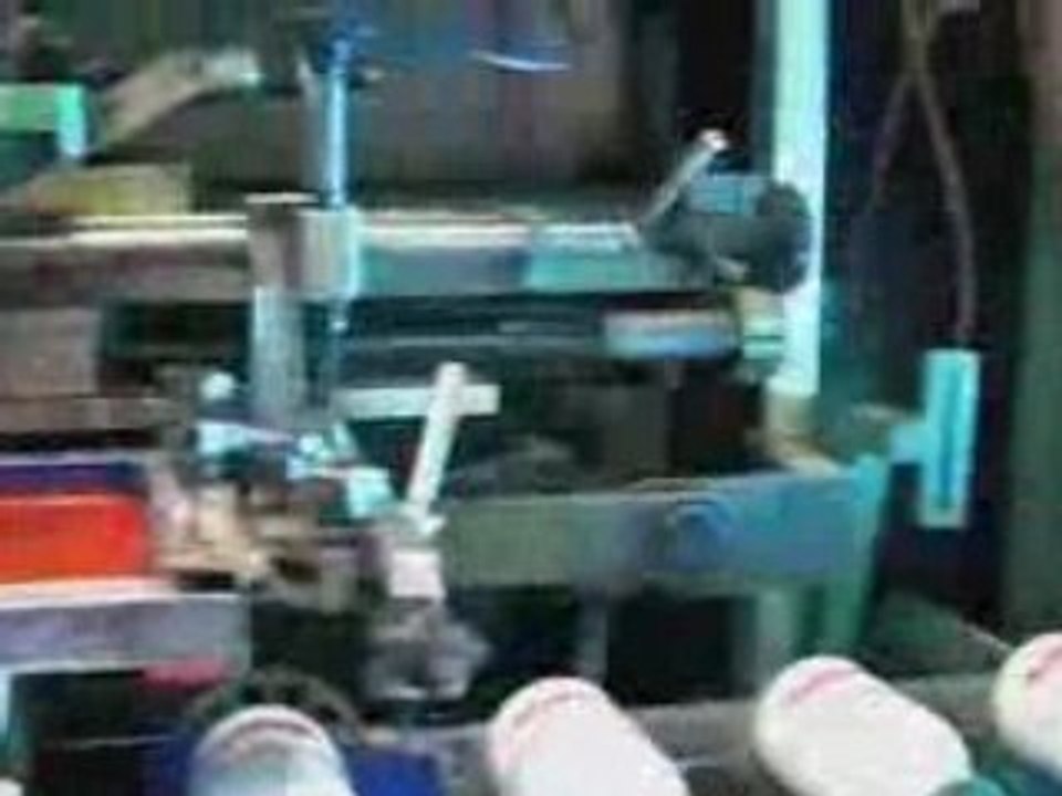 Using an Iguana Named Chunk to Sell Bicycles in Los Angeles