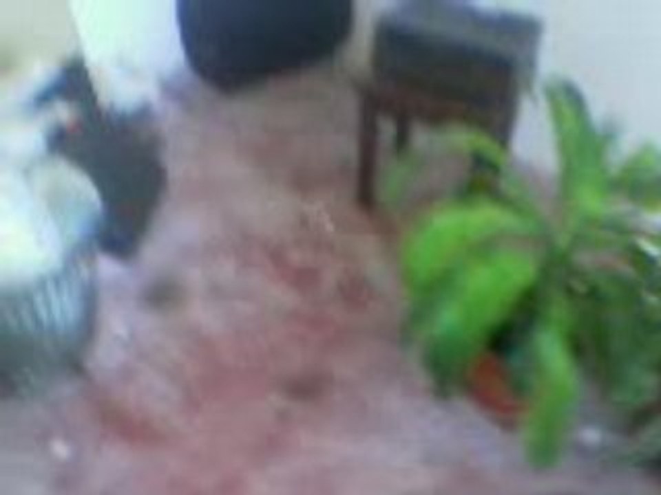 BASS Music: Deep Rhythms & Vibes