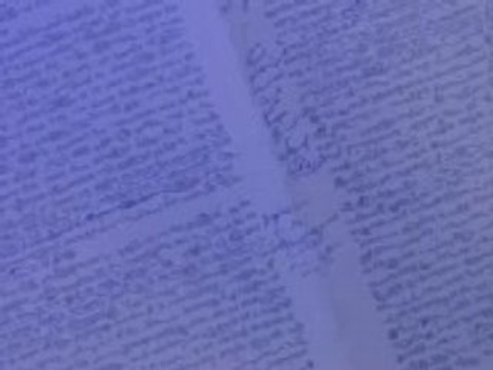 Rewrite History: Octopus Intelligence Trailer 🐙