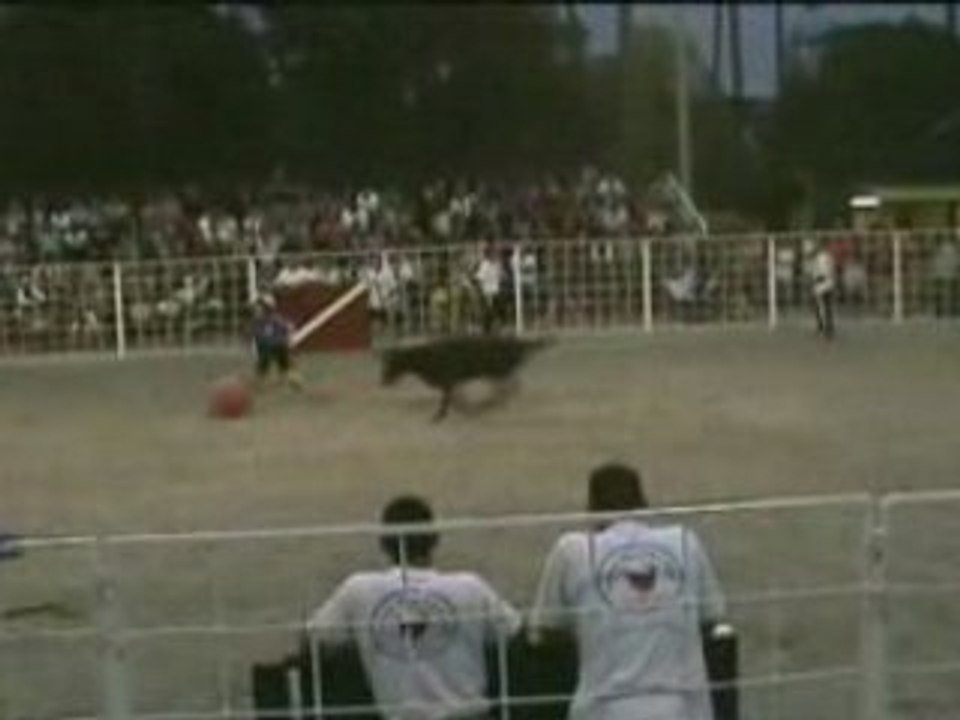 Top Moments of Vachettes_PC 🐄 – Best Highlights and Funny Clips