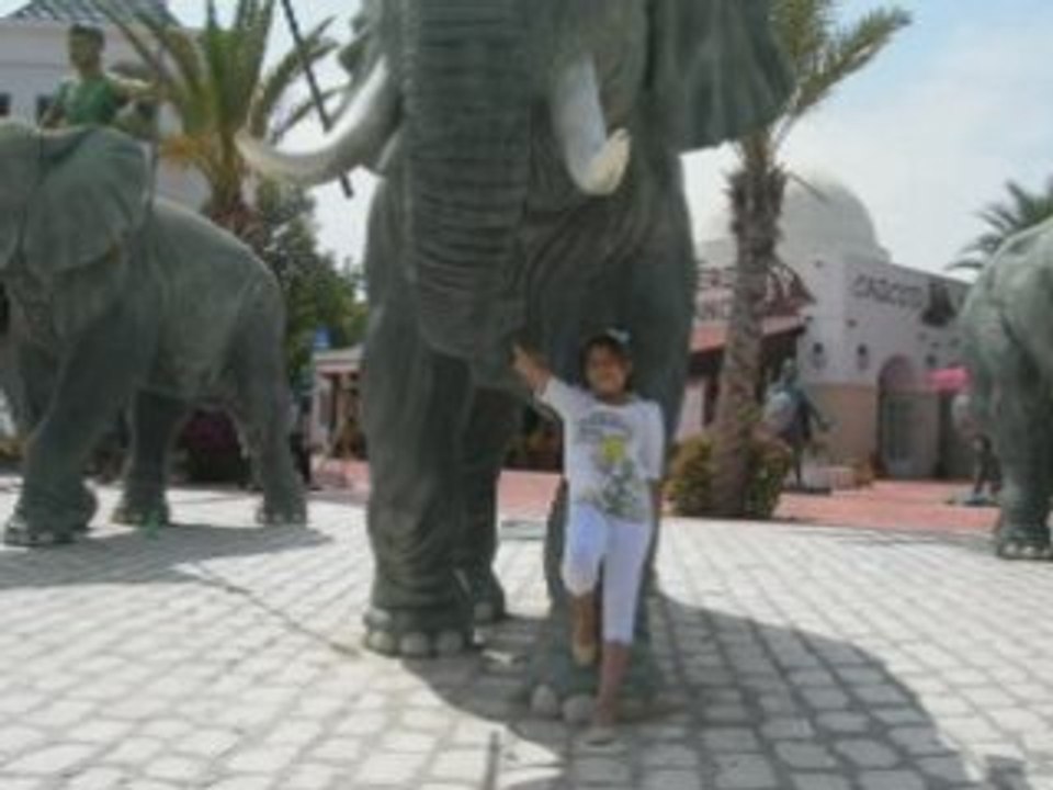 Tita, lotfi bouchnak