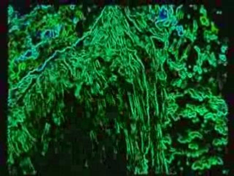 Chilam Balam: The Mayan Prophet 🔮