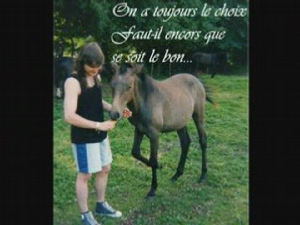 Je suis comme je suis