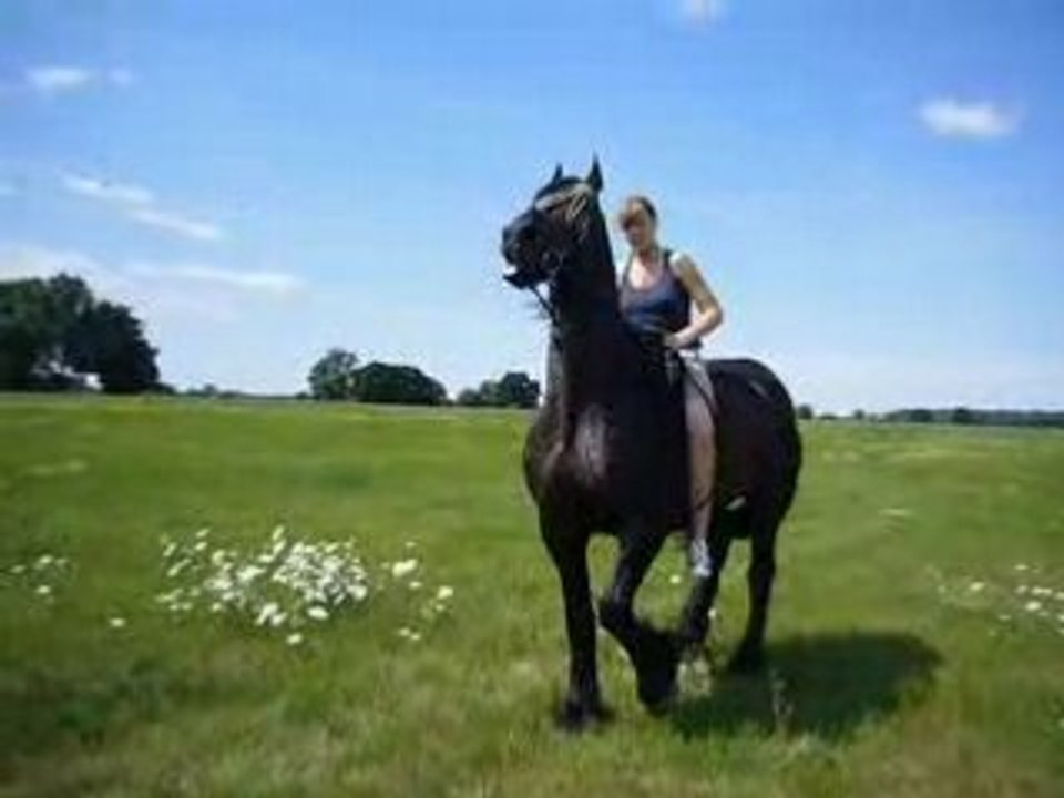 Ivar se cabre OOOOOOOh!