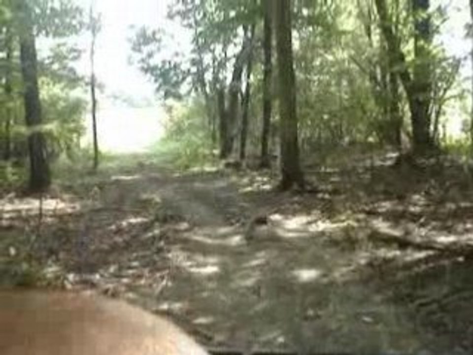 Four wheeler ride 017