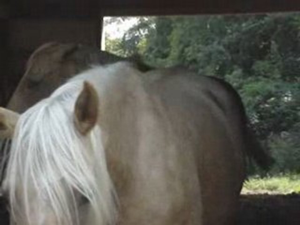 Four wheeler ride 019