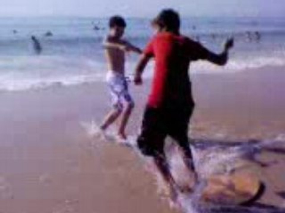 Skim Tracté 3: Quick Overview