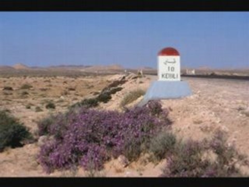 100% Tunisian & Arab Music Legends 🎶