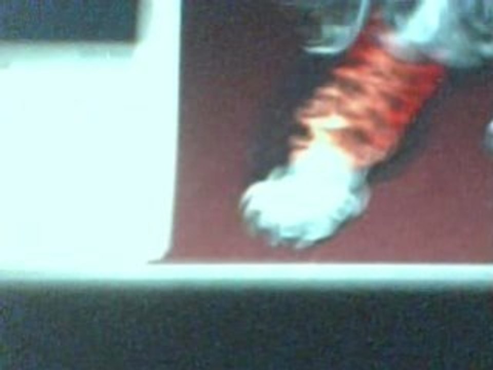 my backround for my computer