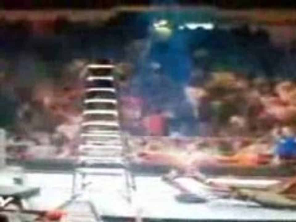 Undertaker (one night stand)