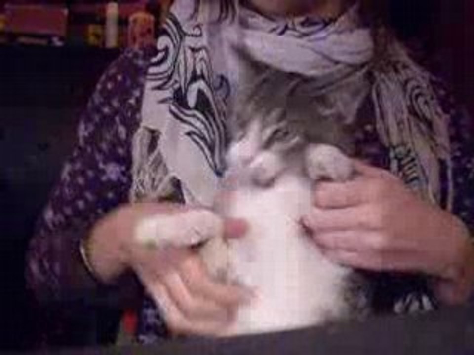 Meïko danseur de tecktonik