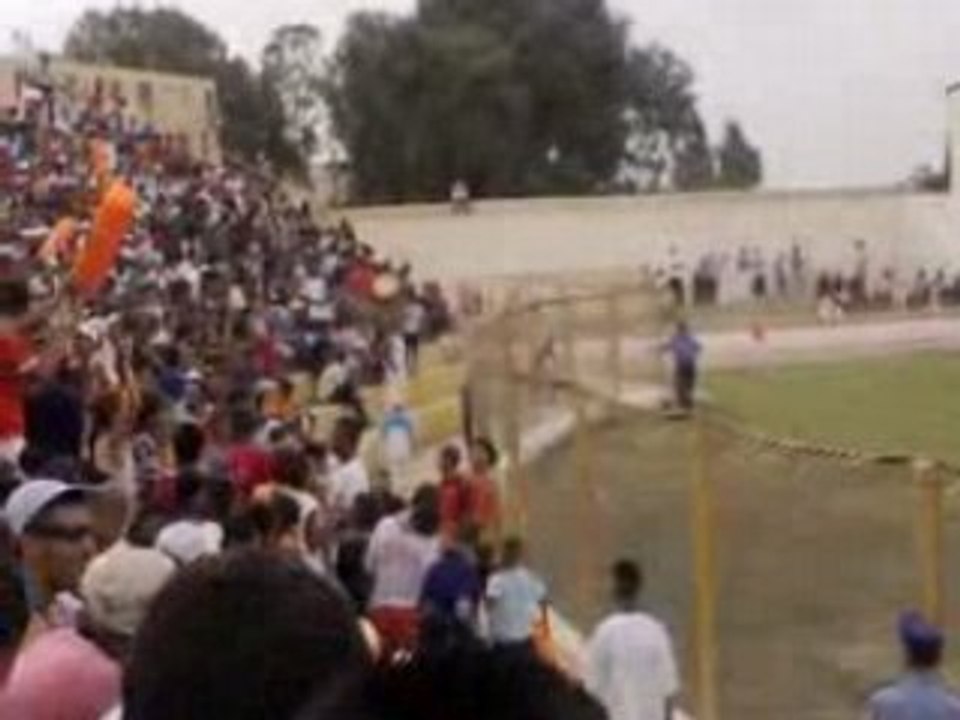 Hay Hay! C'Belle La Vie