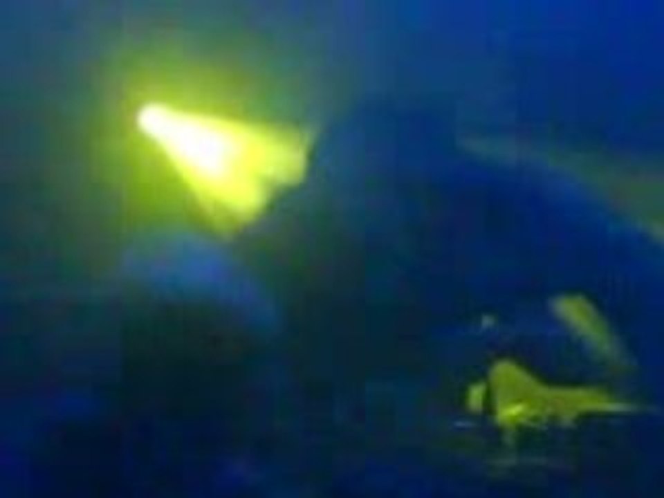 SebastiAn @ Ososphère